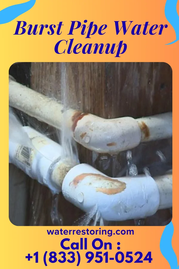 Burst Pipe Water Cleanup in Choptank, MD