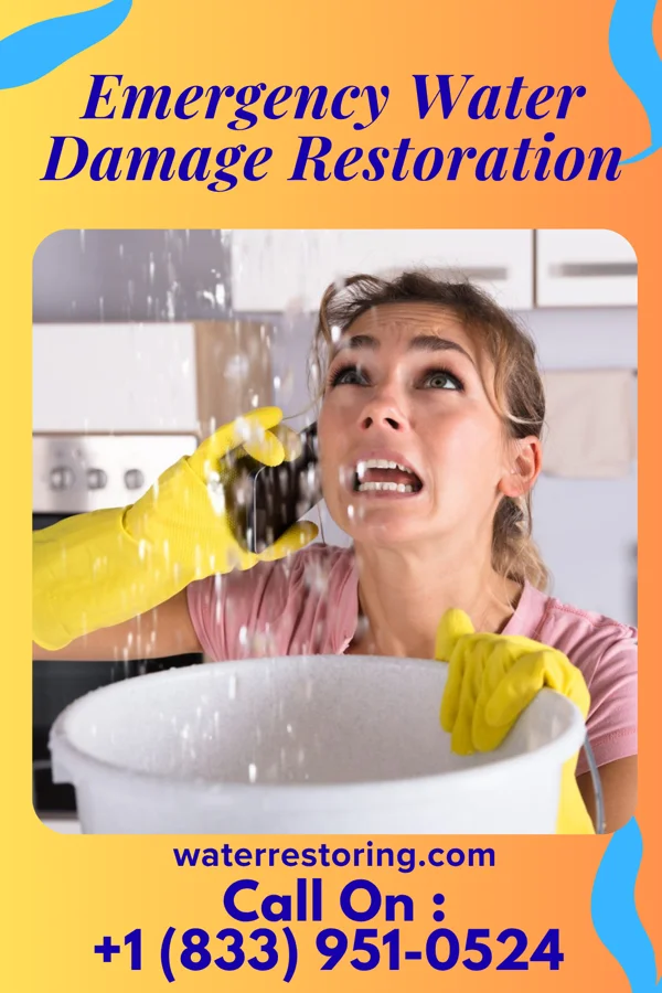 Emergency Water Damage Restoration in Choptank, MD