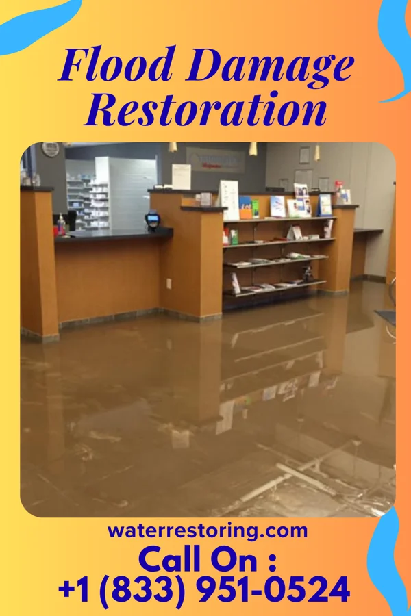 Flood Damage Restoration in Choptank, MD