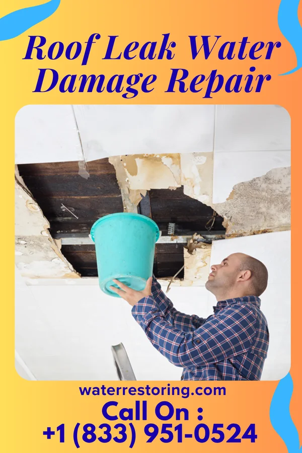 Roof Leak Water Damage Repair in Choptank, MD