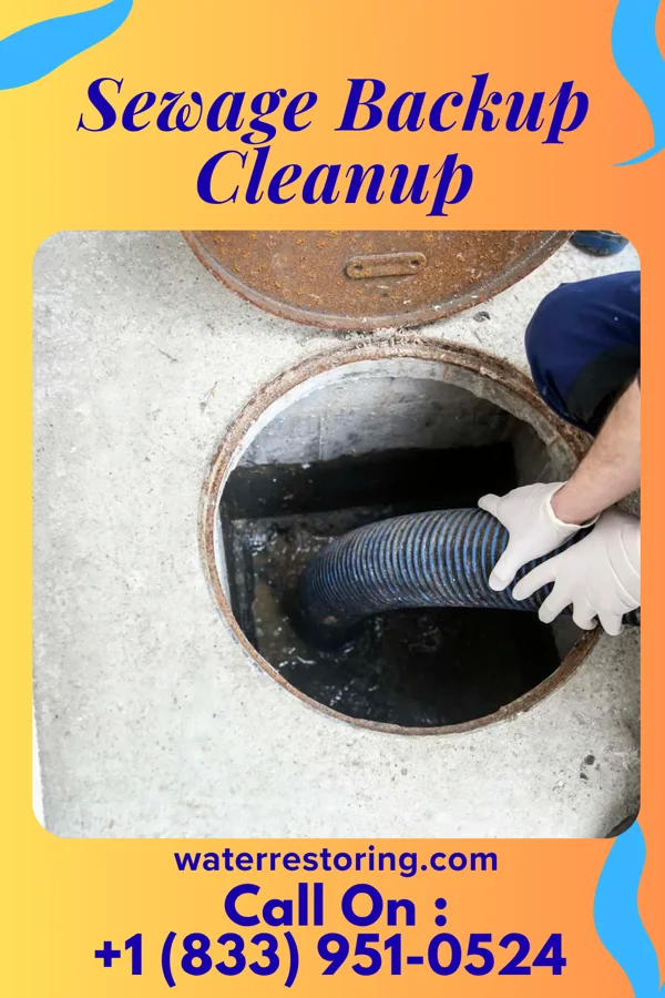 Sewage Backup Cleanup in Choptank, MD