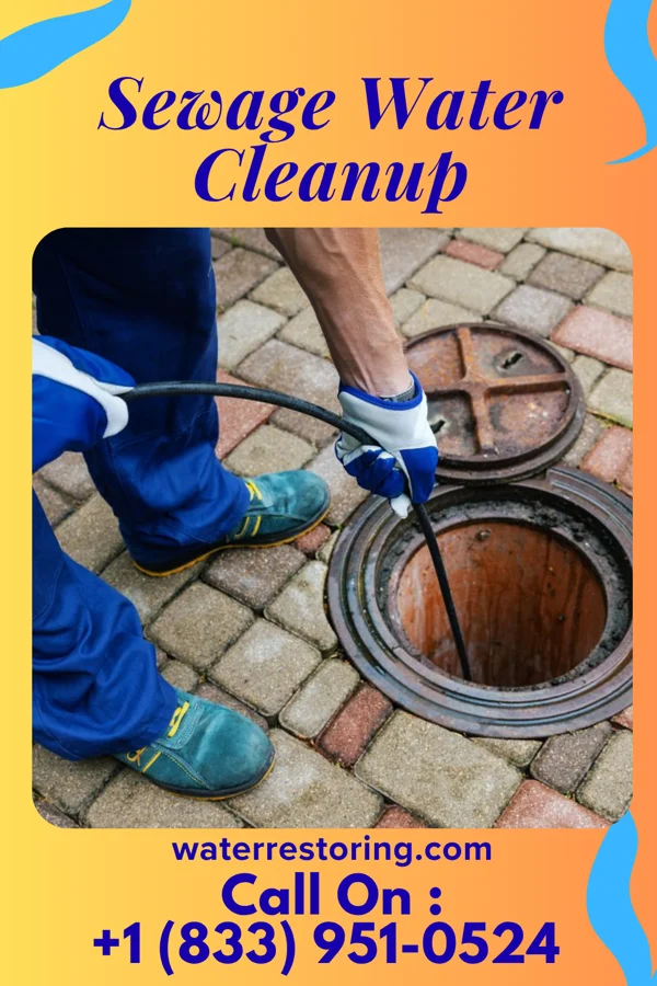 Sewage Water Cleanup in Choptank, MD