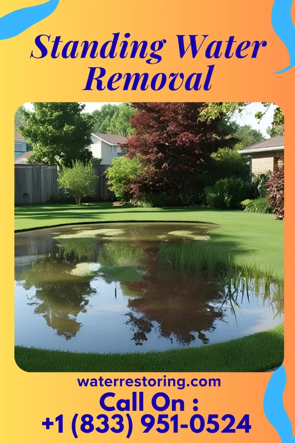 Standing Water Removal in Choptank, MD